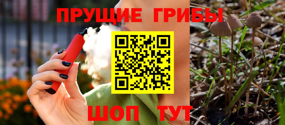Галлюциногенные грибы Cubensis Зима
